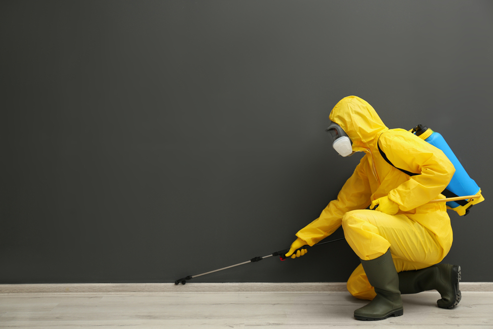 Large Pest Control