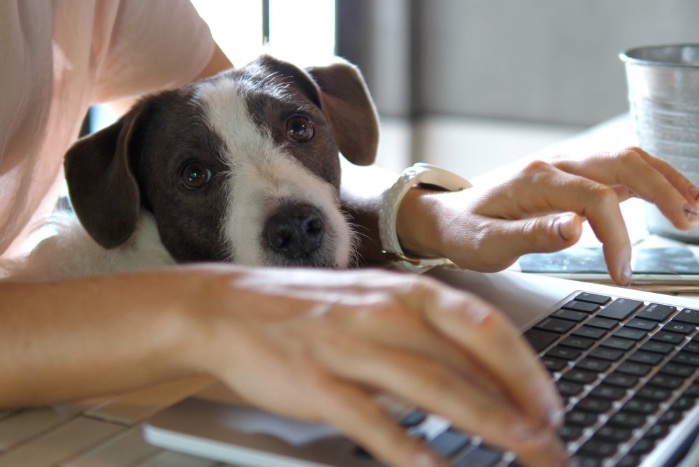 Flexible Work Locations