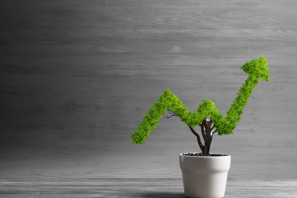 Investment Banking