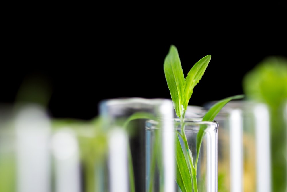Life Sciences