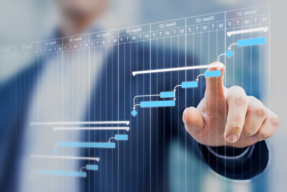 Project Management Consulting