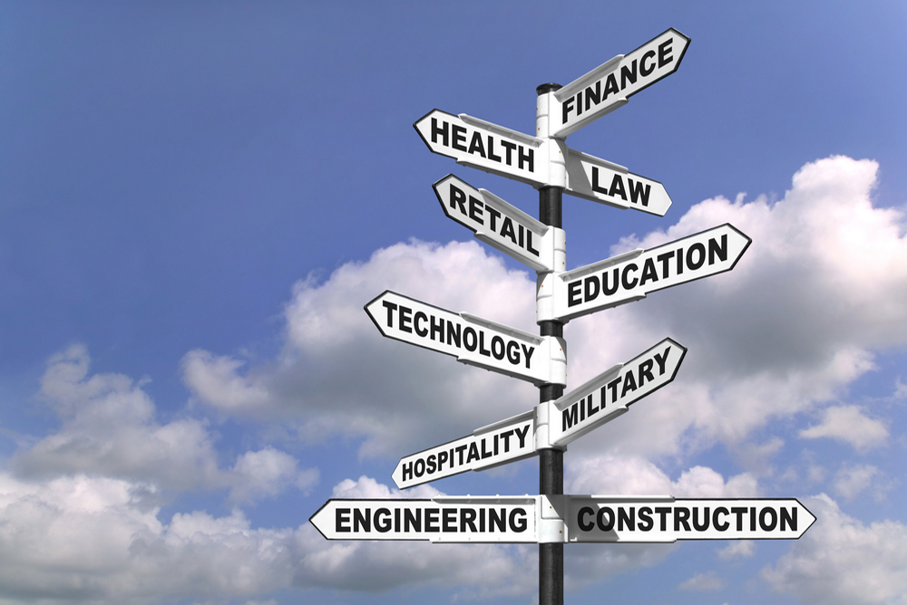Domain Expertise